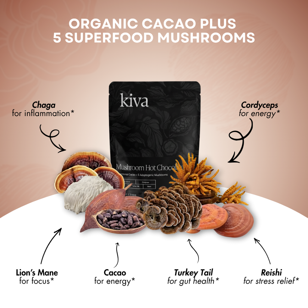 KIVA CEREMONIAL CACAO HOT CHOCOLATE  + 5 ADAPTOGENIC MUSHROOMS