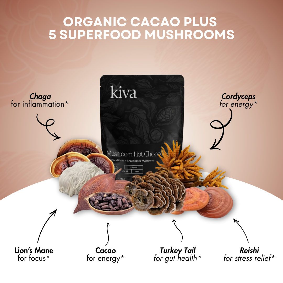 KIVA CEREMONIAL CACAO HOT CHOCOLATE  + 5 ADAPTOGENIC MUSHROOMS